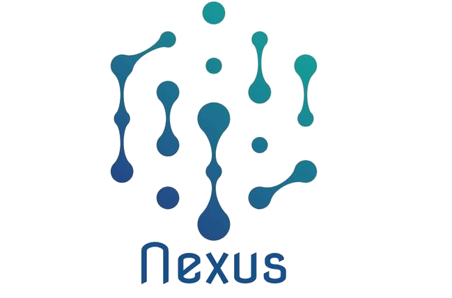 IT Nexus